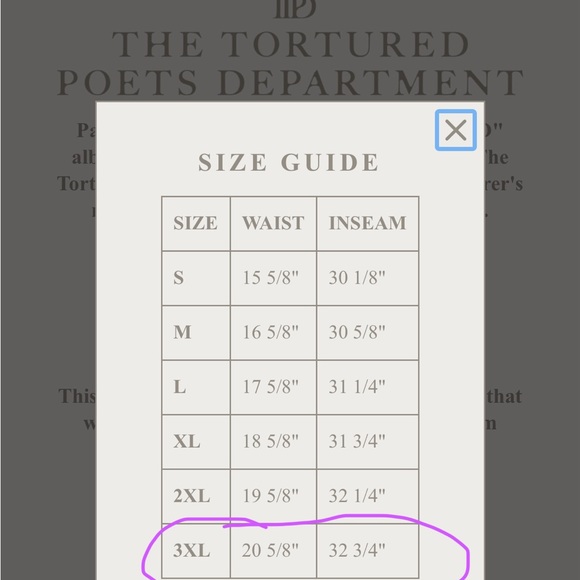 Taylor Swift TTPD beige sweatpants sz3X * nwt - Picture 3 of 5